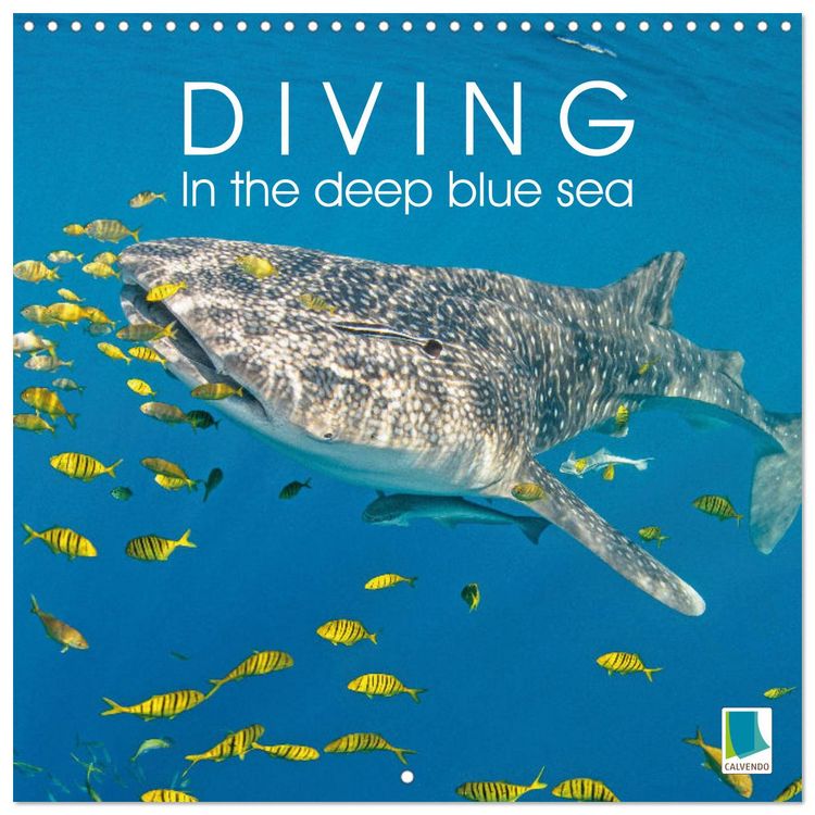 Produktbild: Diving in the deep blue sea (Wall Calendar 2026 12 &times; 12 Inch) CALVENDO 12 Month Wall Calendar