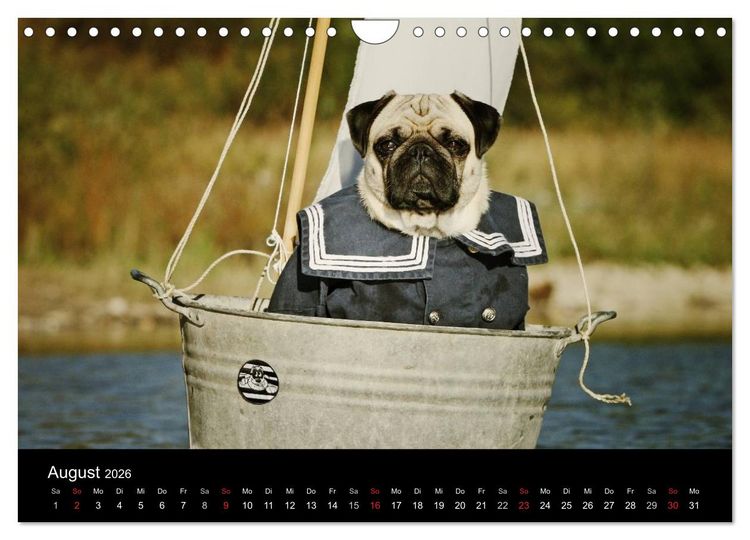 Produktbild: Der MOPS-Kalender (Wandkalender 2026 DIN A4 quer), CALVENDO Monatskalender