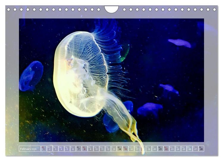 Produktbild: In the world of the medusae (Wall Calendar 2026 DIN A4 landscape), CALVENDO 12 Month Wall Calendar