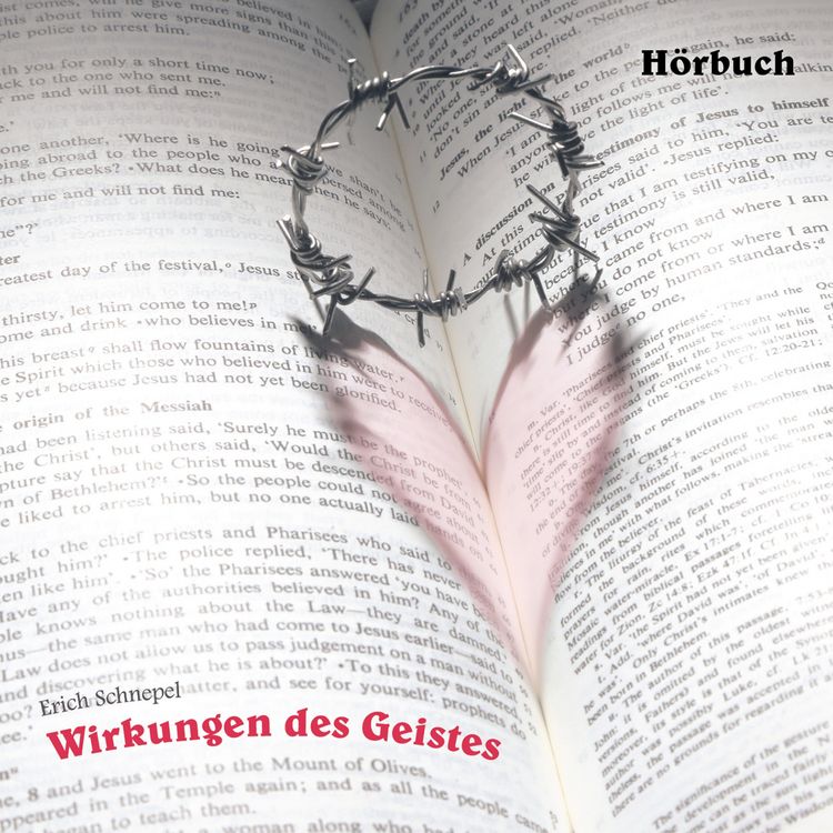 Produktbild: Wirkungen des Geistes