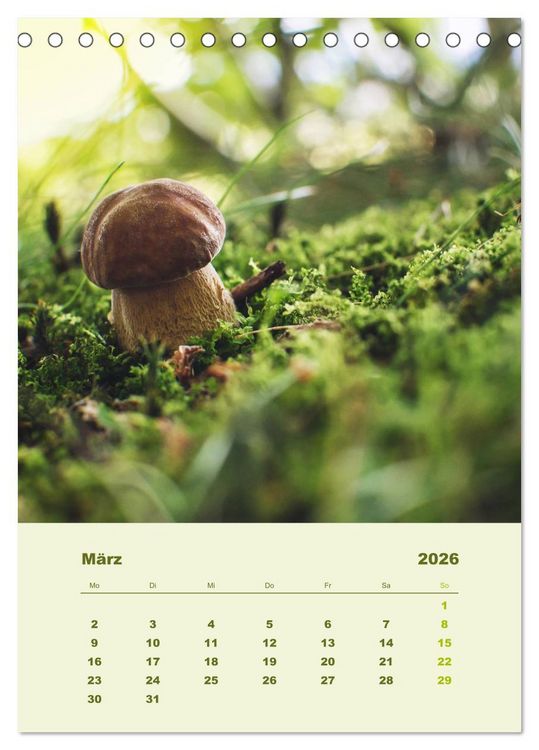 Produktbild: Wundersame Welt der Pilze (Tischkalender 2026 DIN A5 hoch), CALVENDO Monatskalender