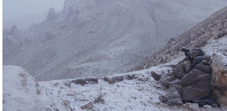 Produktbild: Der Schneeleopard