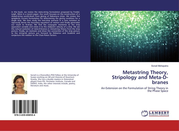 Produktbild: Metastring Theory, Stripology and Meta-D-branes