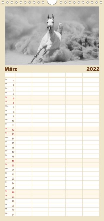 Produktbild: Familienplaner Arabische Pferde (Wandkalender 2022 , 21 cm x 45 cm, hoch)