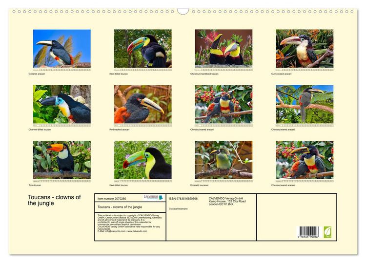 Produktbild: Toucans - clowns of the jungle (Wall Calendar 2026 DIN A2 landscape), CALVENDO 12 Month Wall Calendar