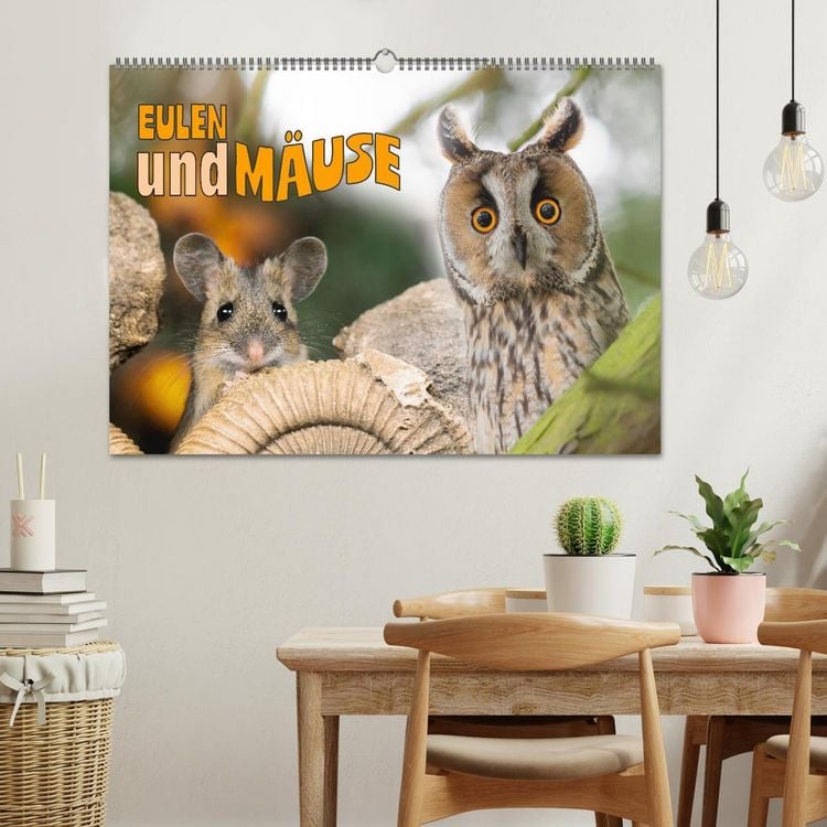 Produktbild: Eulen und M&auml;use (Wandkalender 2026 DIN A2 quer), CALVENDO Monatskalender