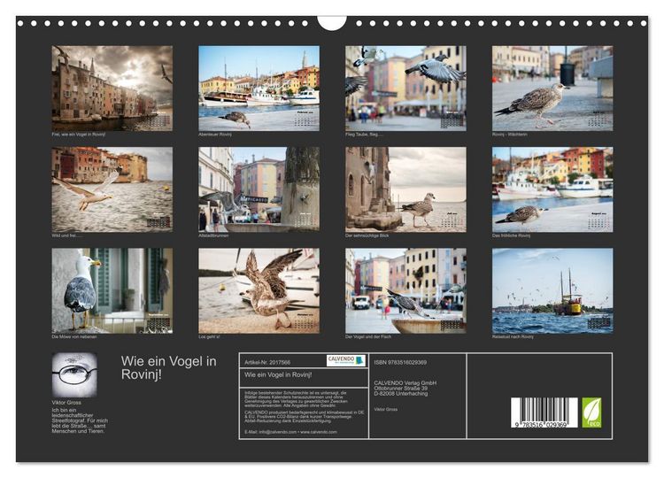 Produktbild: Wie ein Vogel in Rovinj! (Wandkalender 2026 DIN A3 quer), CALVENDO Monatskalender