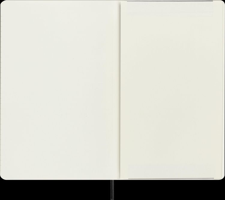 Produktbild: Moleskine Vegea Boa Notizbuch Large/A5 liniert weicher Einband schwarz in Box