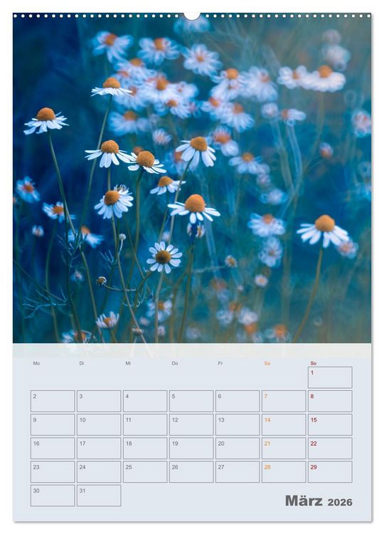 Produktbild: Magie im Garten (Wandkalender 2026 DIN A2 hoch), CALVENDO Monatskalender