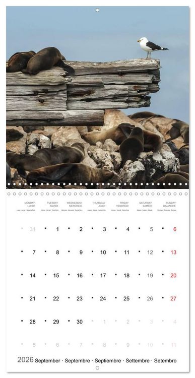 Produktbild: Adventure South Africa 2026 (Wall Calendar 2026 12 &times; 12 Inch) CALVENDO 12 Month Wall Calendar