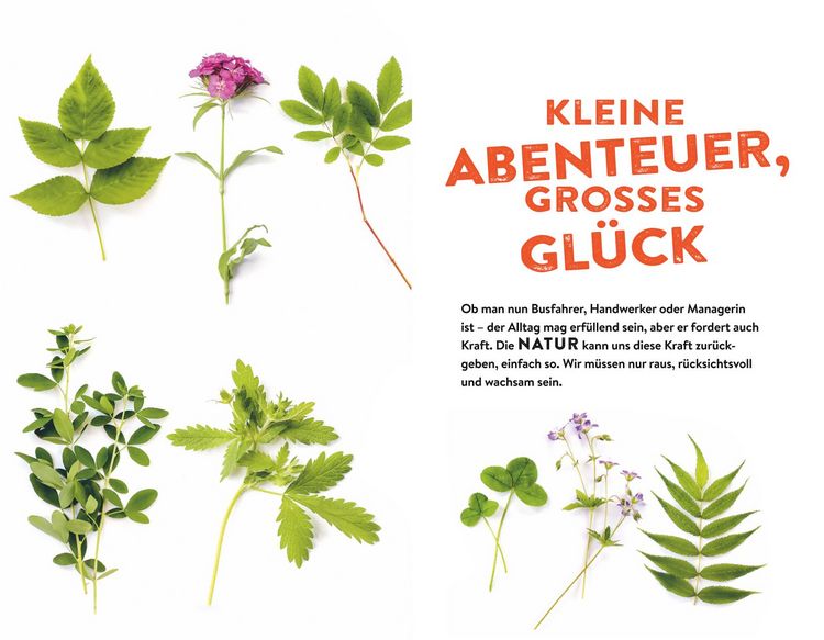 Produktbild: Tausche Alltag gegen Alpaka