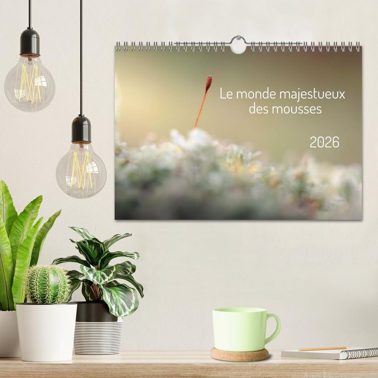 Produktbild: Le monde majestueux des mousses (Calendrier mural 2026 DIN A4 vertical), CALVENDO calendrier mensuel