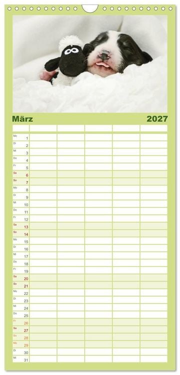 Produktbild: Familienplaner 2027 - Der Bordercollie-Kalender mit 5 Spalten (Wandkalender, 21 x 45 cm) CALVENDO