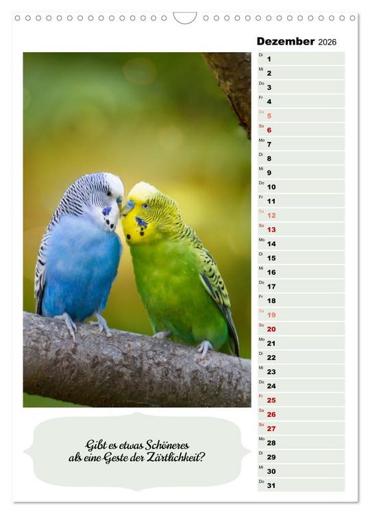 Produktbild: Niedliche Wellensittiche (Wandkalender 2026 DIN A3 hoch), CALVENDO Monatskalender