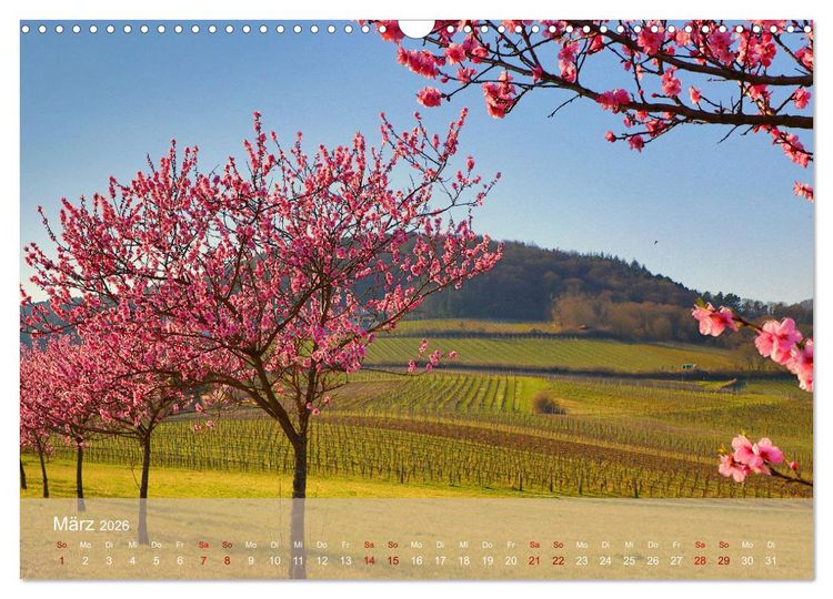 Produktbild: Wanderparadies S&uuml;dpfalz (Wandkalender 2026 DIN A3 quer), CALVENDO Monatskalender