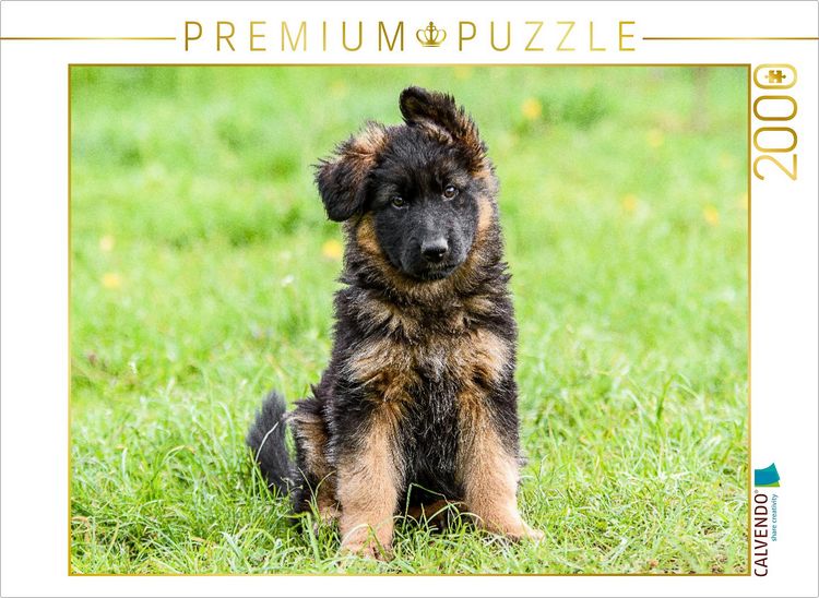 Produktbild: CALVENDO Puzzle Sch&auml;ferhund - Welpe H&uuml;ndin | 2000 Teile Lege-Gr&ouml;&szlig;e 90x67cm Foto-Puzzle f&uuml;r gl&uuml;ckliche Stunden