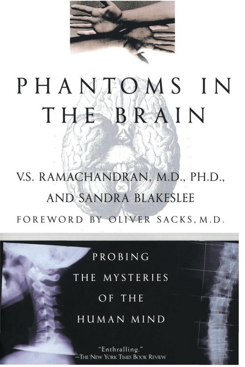 Produktbild: Phantoms in the Brain