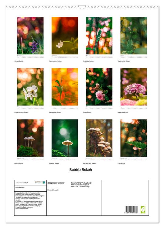 Produktbild: Bubble Bokeh (Wandkalender 2026 DIN A2 hoch), CALVENDO Monatskalender