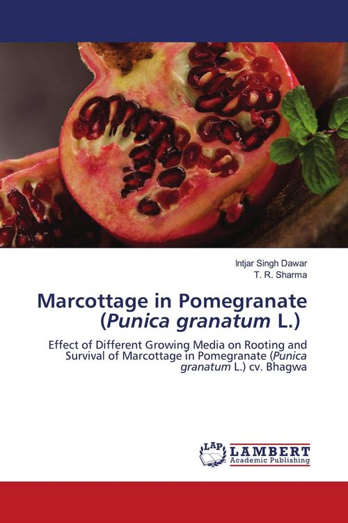 Produktbild: Marcottage in Pomegranate (Punica granatum L.)