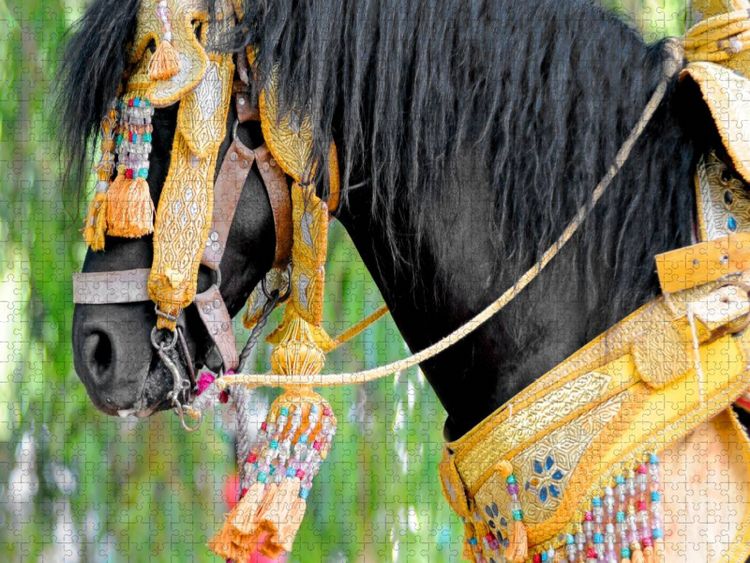 Produktbild: CALVENDO Puzzle Pferd Fantasia | 1000 Teile Lege-Gr&ouml;&szlig;e 64x48cm Foto-Puzzle f&uuml;r gl&uuml;ckliche Stunden