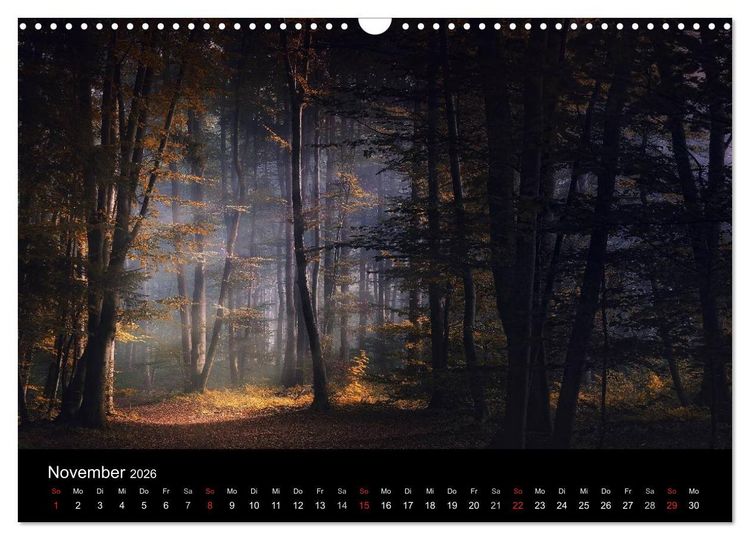 Produktbild: Mysterium Wald (Wandkalender 2026 DIN A3 quer), CALVENDO Monatskalender