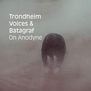 Produktbild: On Anodyne