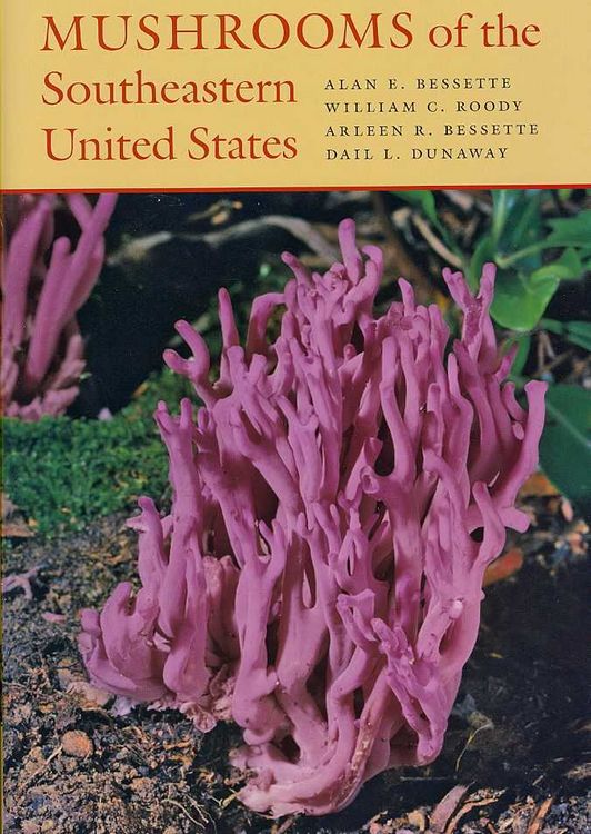 Produktbild: Mushrooms of the Southeastern United States