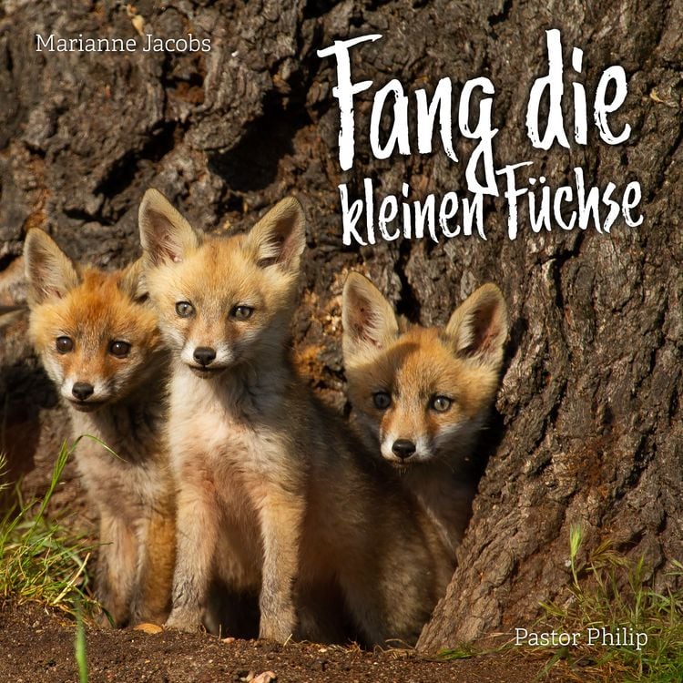 Produktbild: Fang die kleinen F&uuml;chse