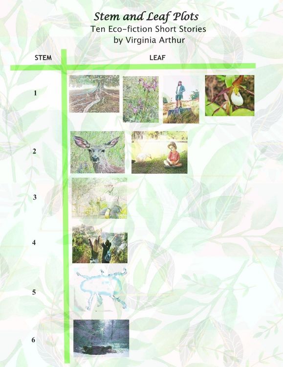Produktbild: Stem and Leaf Plots