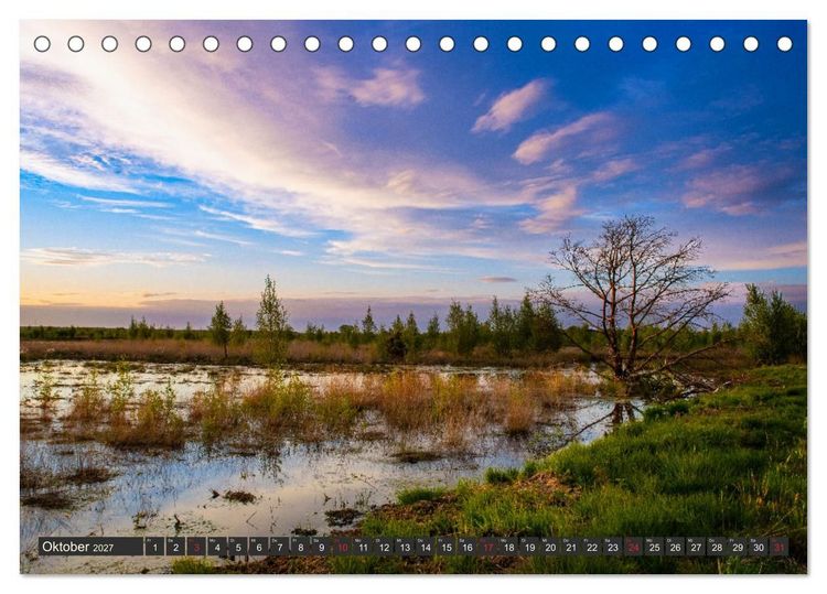 Produktbild: Leben am Naturpark um den D&uuml;mmer See (Tischkalender 2027 DIN A5 quer), CALVENDO Monatskalender