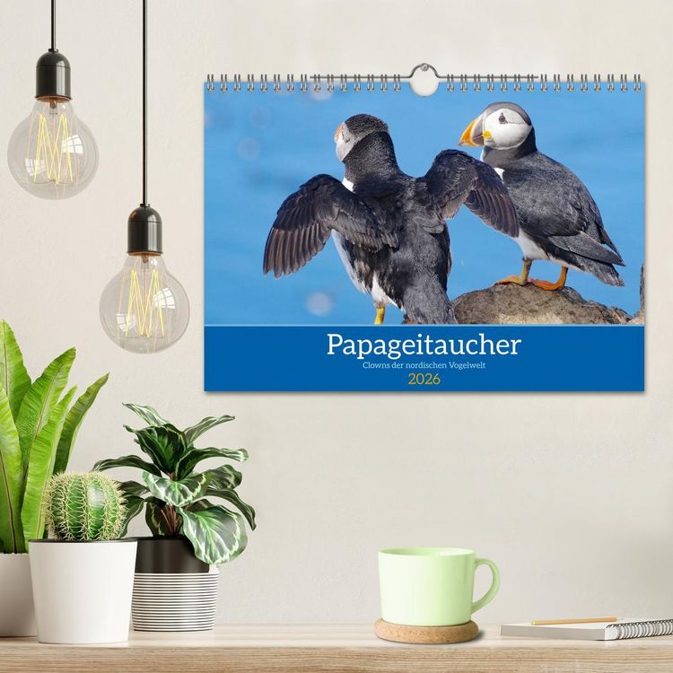Produktbild: Papageitaucher - Clowns der nordischen Vogelwelt (Wandkalender 2026 DIN A4 quer), CALVENDO Monatskalender