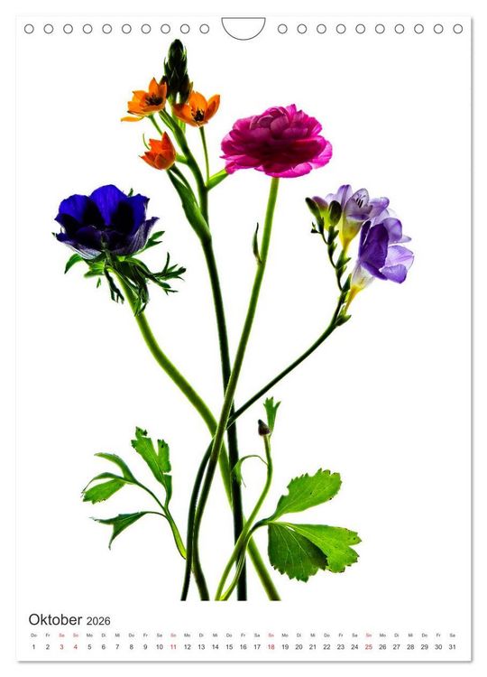 Produktbild: Blumen pur (Wandkalender 2026 DIN A4 hoch), CALVENDO Monatskalender
