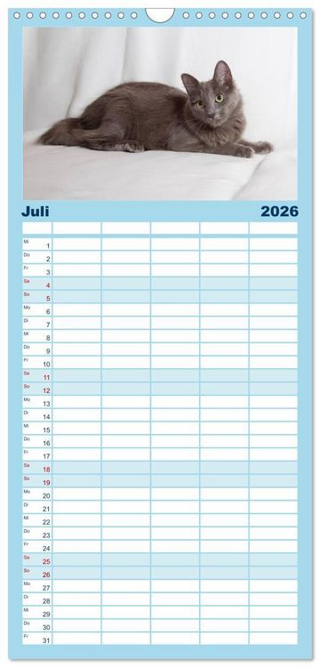Produktbild: Familienplaner 2026 - Nebelung Katzen mit 5 Spalten (Wandkalender, 21 x 45 cm) CALVENDO