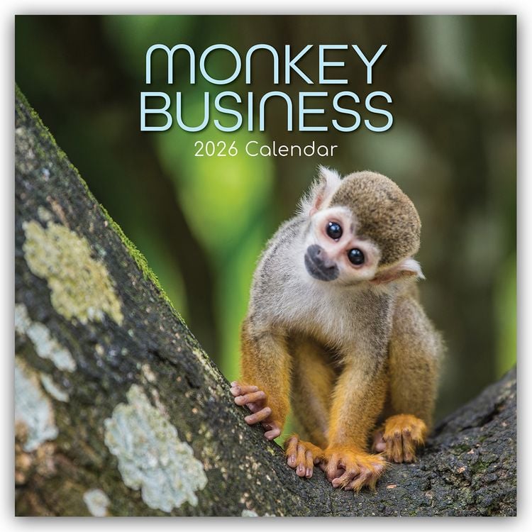 Produktbild: Monkey Business 2026 – 16-Monatskalender