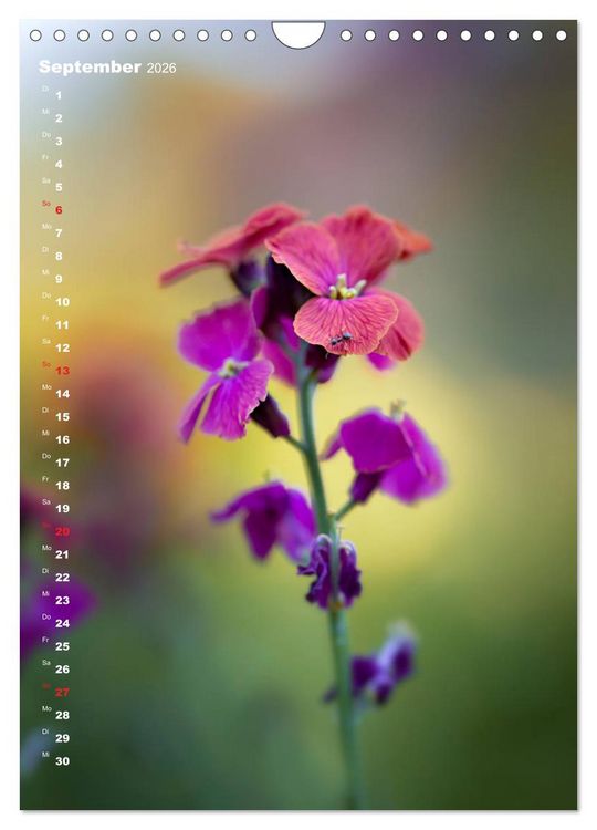 Produktbild: Colors of Nature (Wandkalender 2026 DIN A4 hoch), CALVENDO Monatskalender