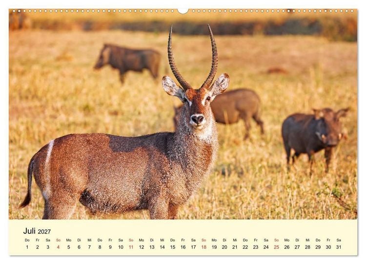 Produktbild: Traumhaftes Malawi (Wandkalender 2027 DIN A2 quer), CALVENDO Monatskalender