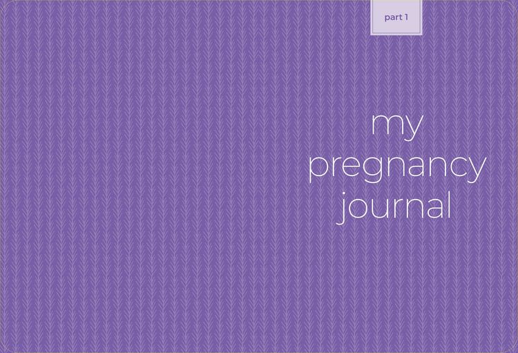 Produktbild: What to Expect Pregnancy Journal and Organizer