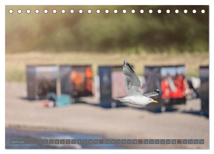 Produktbild: Zingst - die Ostsee von ihrer sch&ouml;nsten Seite (Tischkalender 2026 DIN A5 quer), CALVENDO Monatskalender