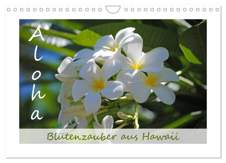 Produktbild: Aloha Bl&uuml;tenzauber aus Hawaii (Wandkalender 2026 DIN A4 quer), CALVENDO Monatskalender