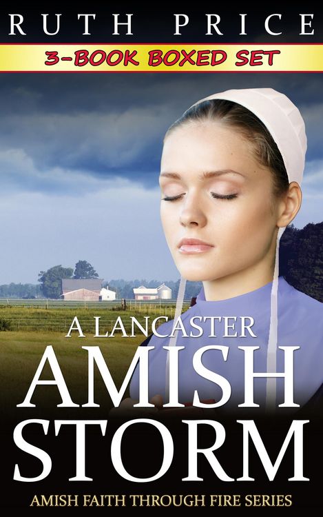 Produktbild: A Lancaster Amish Storm 3-Book Boxed Set