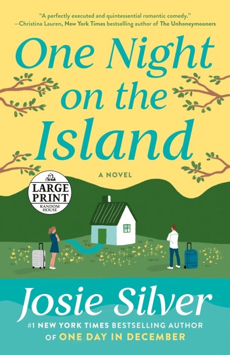Produktbild: One Night on the Island