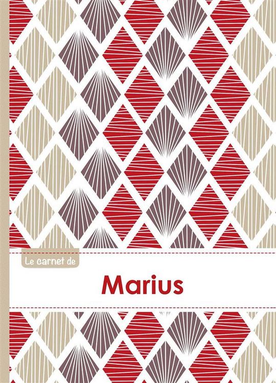 Produktbild: Le carnet de marius lignes, 96p,