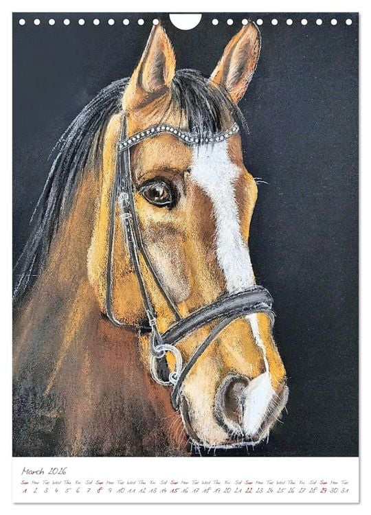 Produktbild: Painting meets animal spirit - Painted animal portraits (Wall Calendar 2026 DIN A4 portrait), CALVENDO 12 Month Wall Calendar