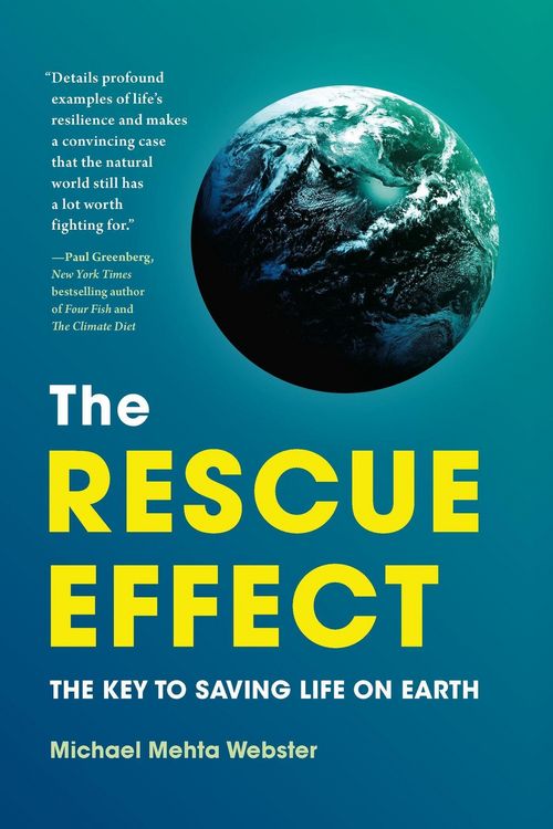 Produktbild: The Rescue Effect