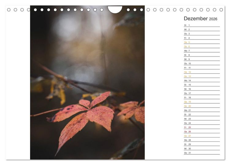 Produktbild: Kleine Wunder vor der Haust&uuml;r (Wandkalender 2026 DIN A4 quer), CALVENDO Monatskalender