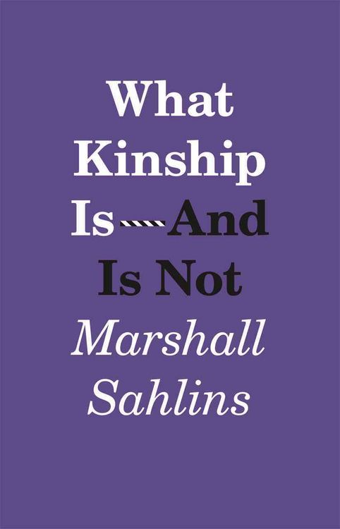 Produktbild: Sahlins, M: What Kinship is - and is Not