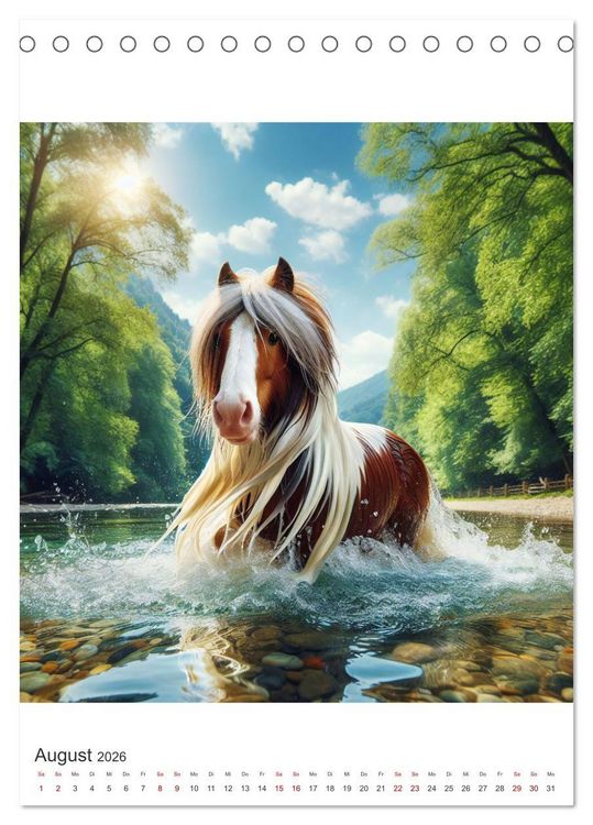 Produktbild: Gypsy Vanner Tinker - die majest&auml;tische Sch&ouml;nheit der Tinker-Pferde (Tischkalender 2026 DIN A5 hoch), CALVENDO Monatskalender