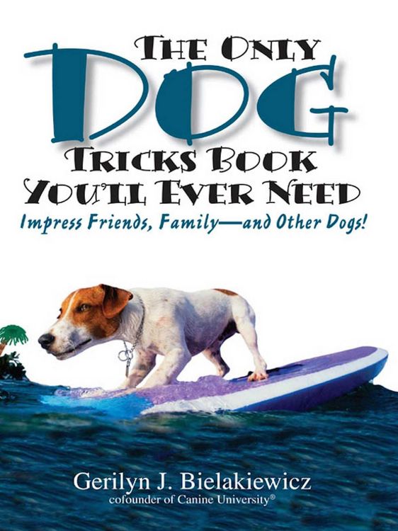 Produktbild: The Only Dog Tricks Book You'll Ever Need