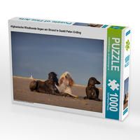 Produktbild: CALVENDO Puzzle Afghanische Windhunde liegen am Strand in Sankt Peter-Ording 1000 Teile Lege-Gr&ouml;&szlig;e 64 x 48 cm Foto-Puzzle Bild von Annett Mirsberger annettmirsberger.de