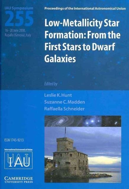 Produktbild: Low-Metallicity Star Formation
